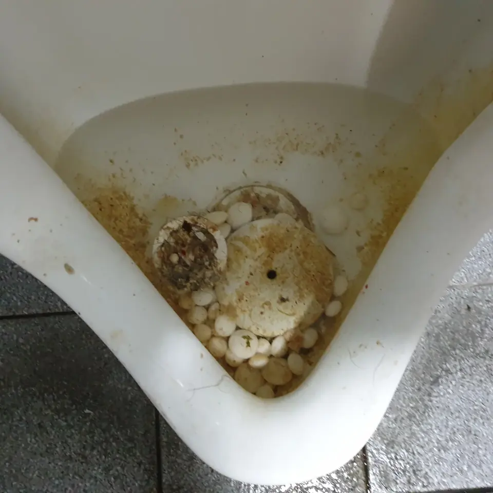 상가 배관 이물질제거 현장 - 소변기 배수구 안에 쌓인 이물질